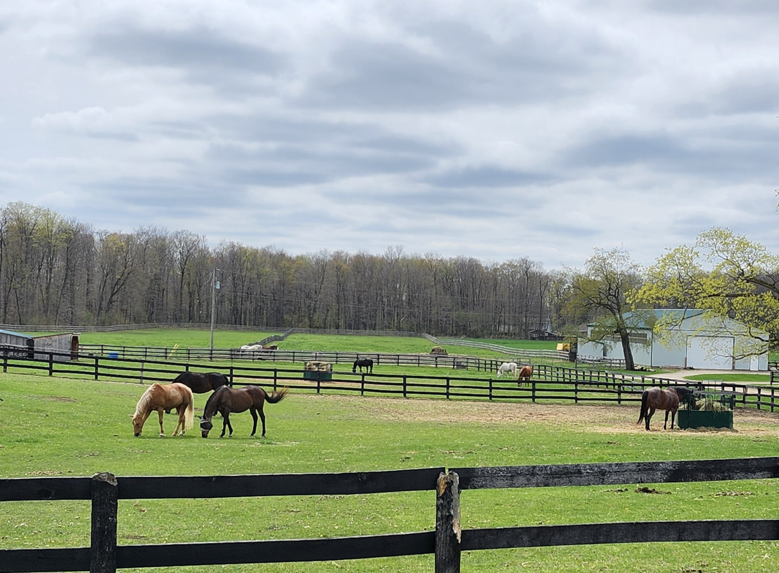 Pasture